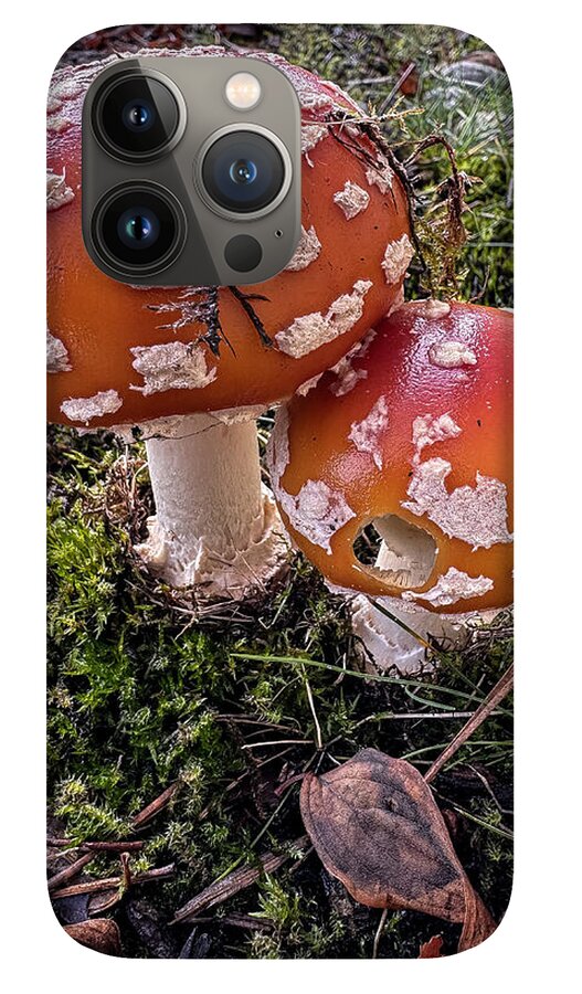 Mushrooms  - Phone Case