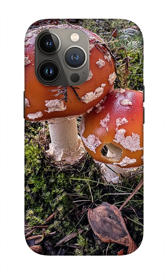 Mushrooms  - Phone Case