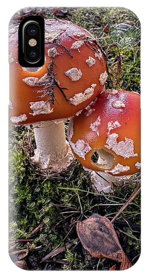 Mushrooms  - Phone Case