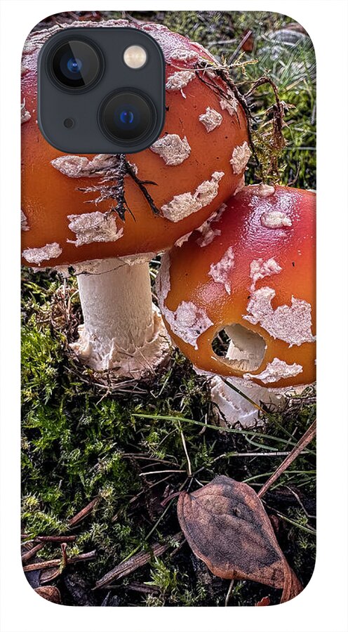 Mushrooms  - Phone Case