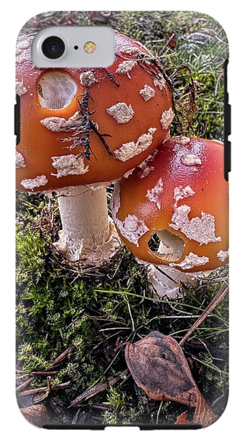 Mushrooms  - Phone Case