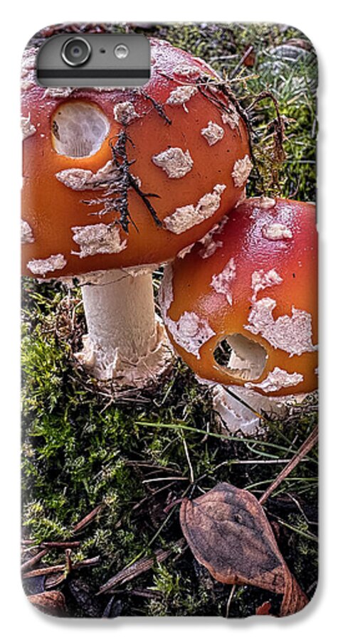 Mushrooms  - Phone Case