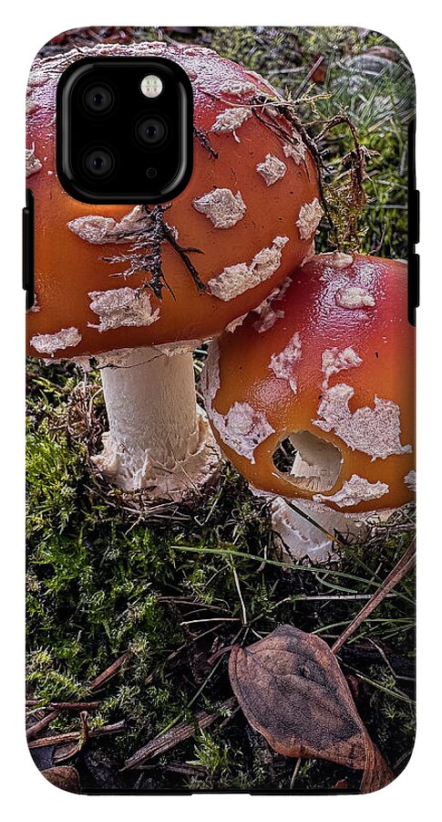 Mushrooms  - Phone Case