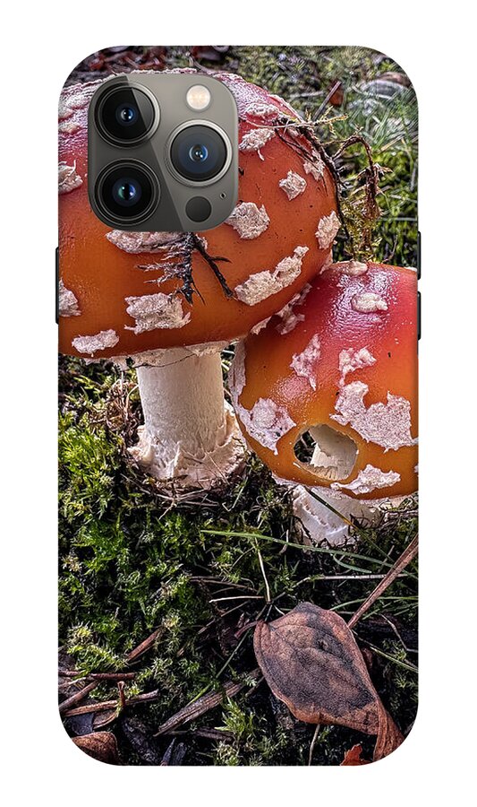 Mushrooms  - Phone Case