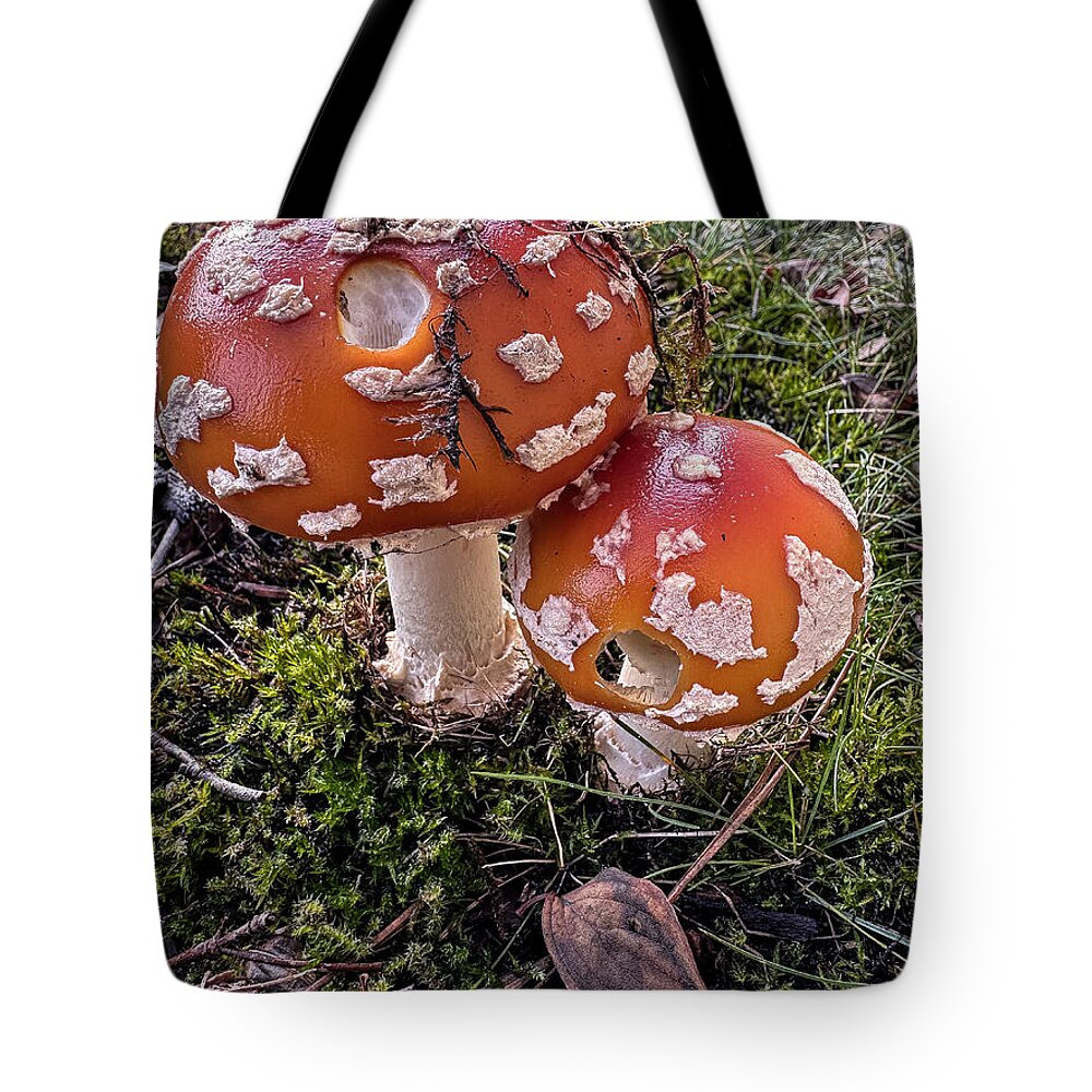 Mushrooms  - Tote Bag