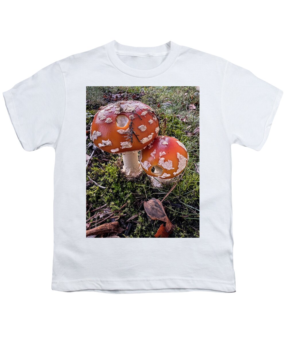 Mushrooms  - Youth T-Shirt