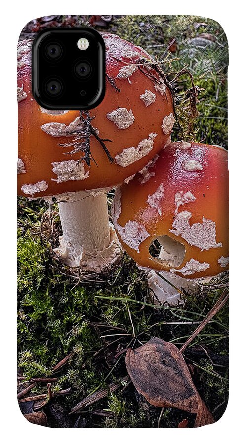Mushrooms  - Phone Case