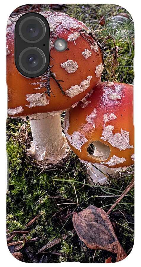 Mushrooms  - Phone Case