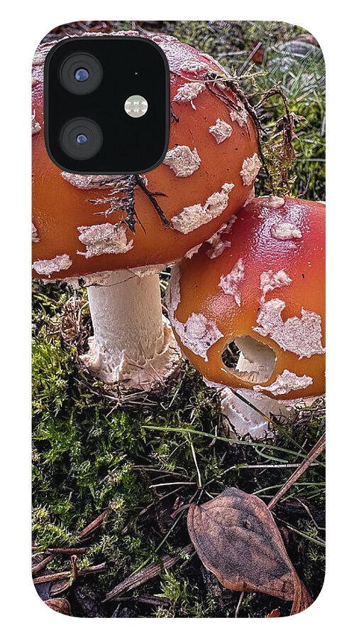 Mushrooms  - Phone Case