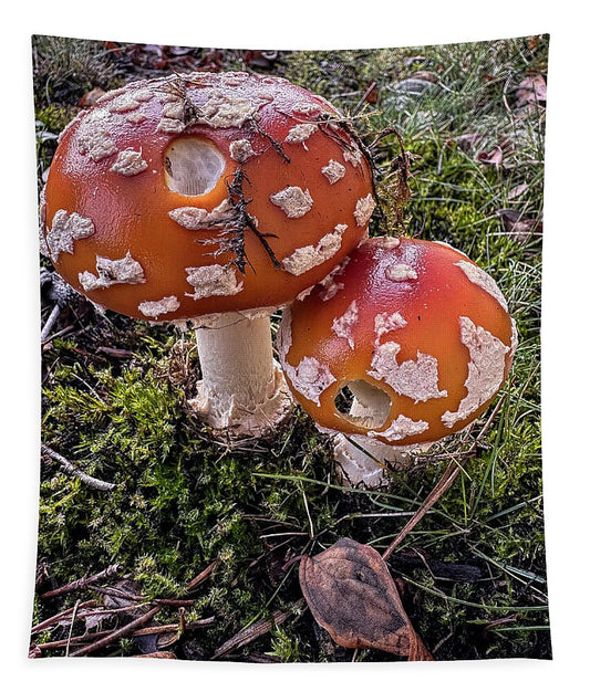 Mushrooms  - Tapestry