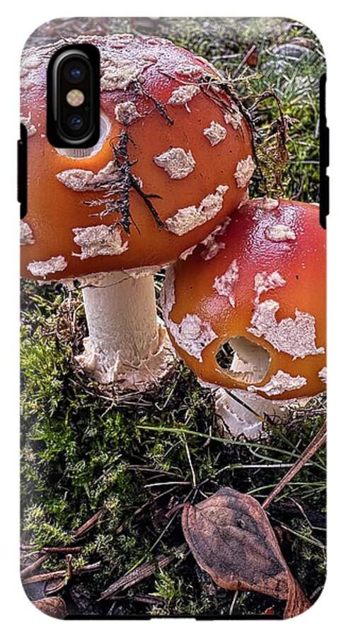 Mushrooms  - Phone Case