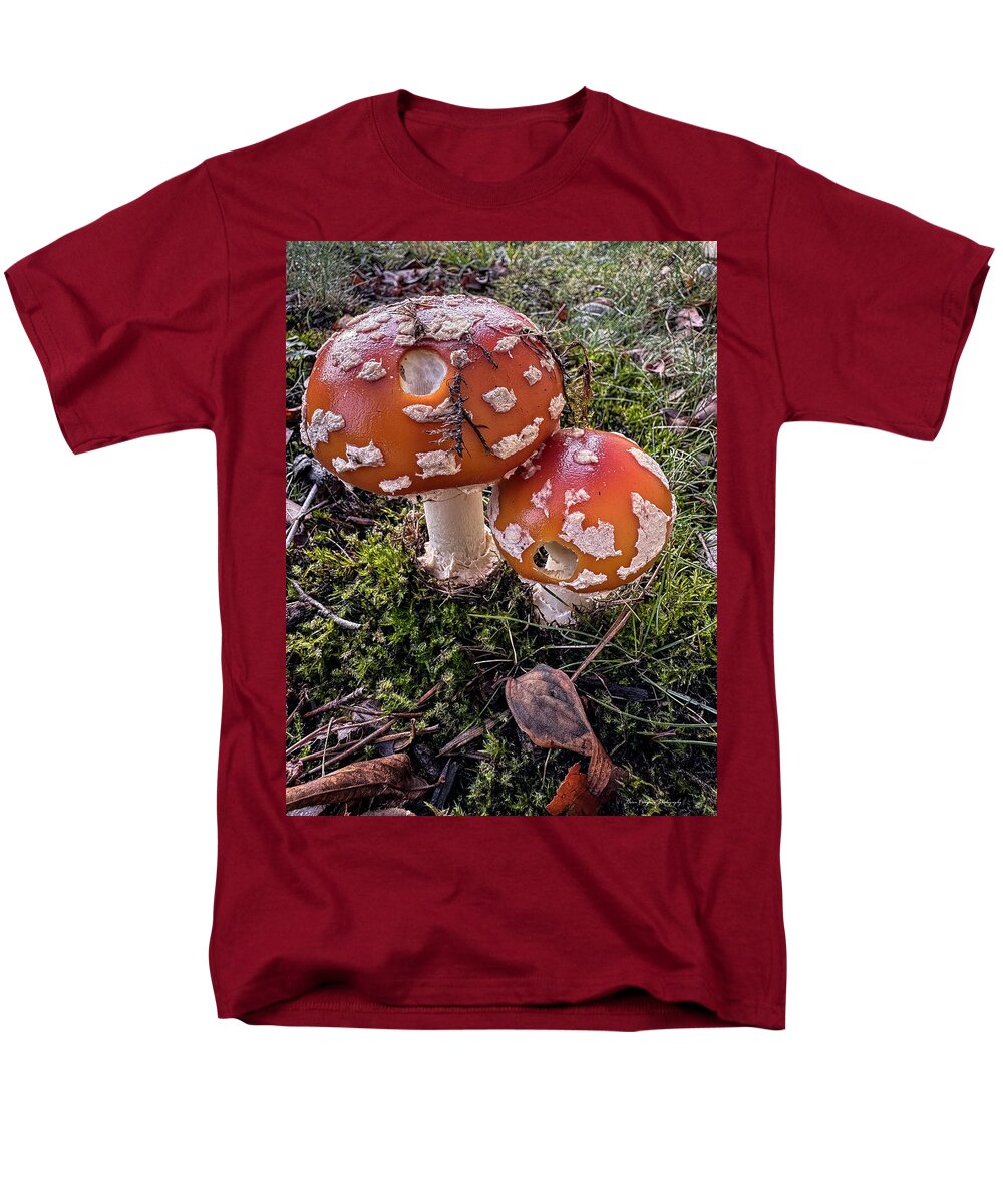Mushrooms  - Men's T-Shirt  (Regular Fit)