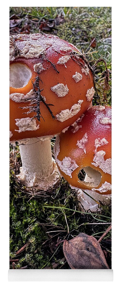 Mushrooms  - Yoga Mat
