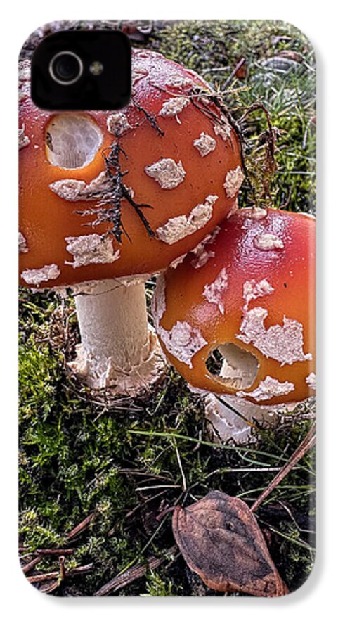 Mushrooms  - Phone Case