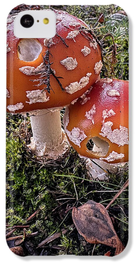 Mushrooms  - Phone Case