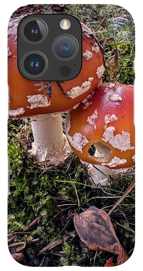 Mushrooms  - Phone Case