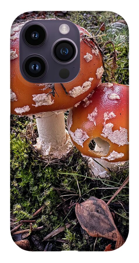 Mushrooms  - Phone Case