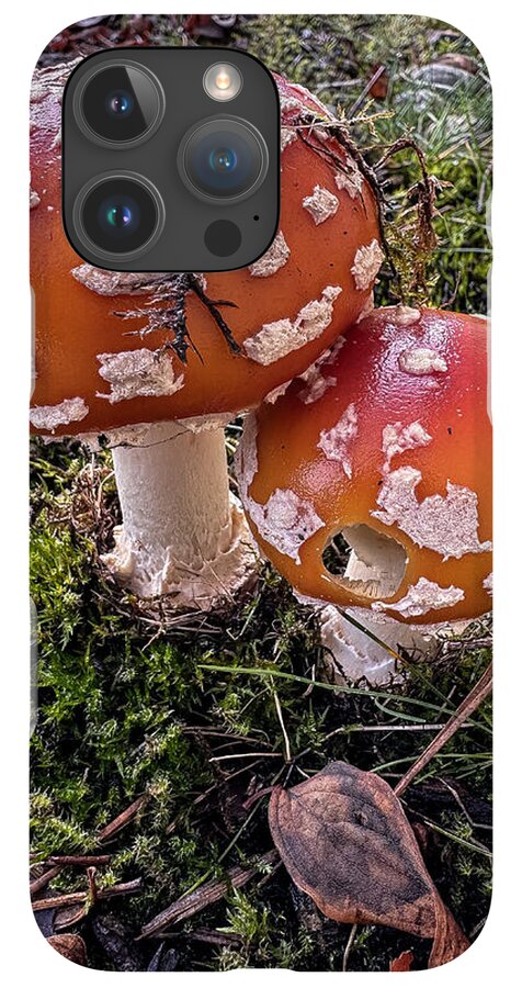 Mushrooms  - Phone Case
