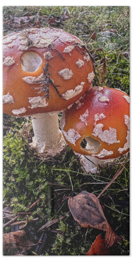Mushrooms  - Beach Towel