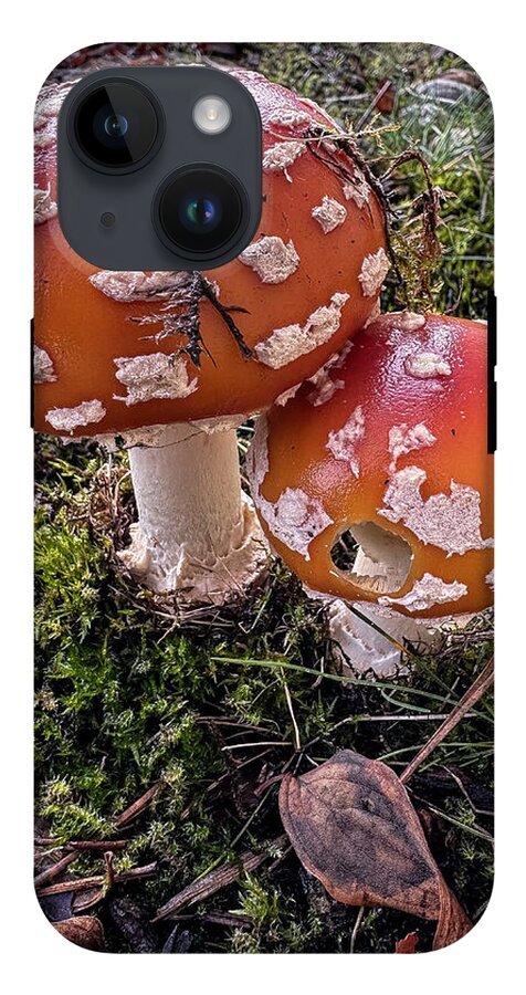 Mushrooms  - Phone Case