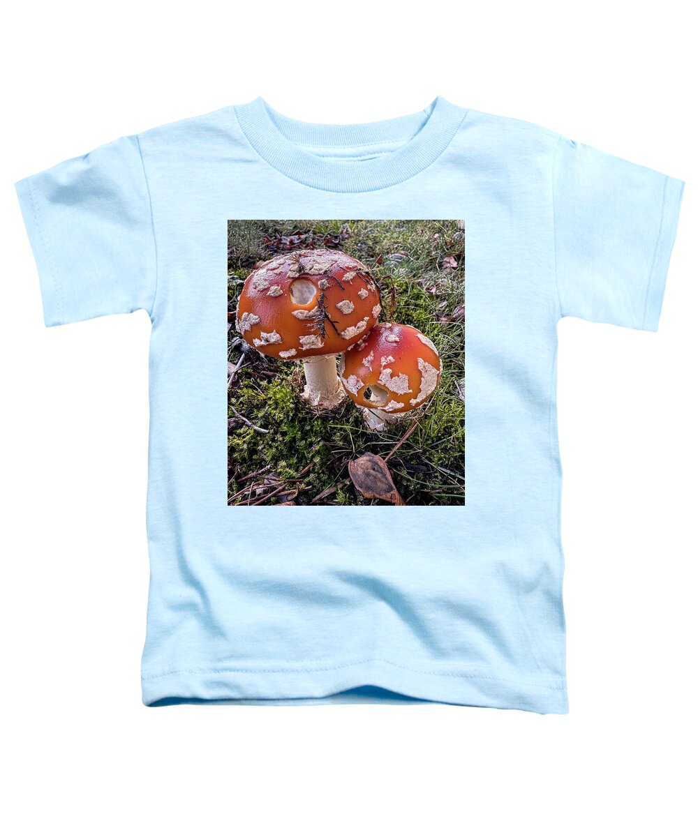 Mushrooms  - Toddler T-Shirt