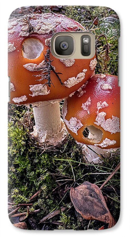 Mushrooms  - Phone Case