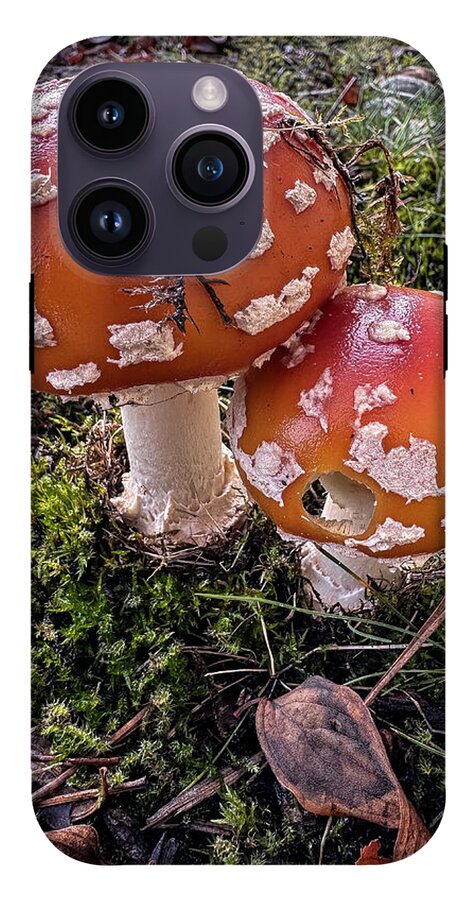 Mushrooms  - Phone Case