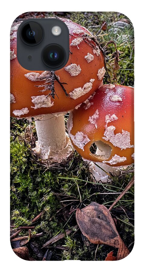 Mushrooms  - Phone Case