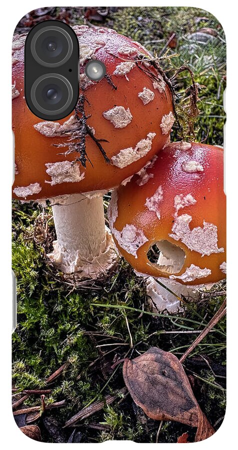 Mushrooms  - Phone Case