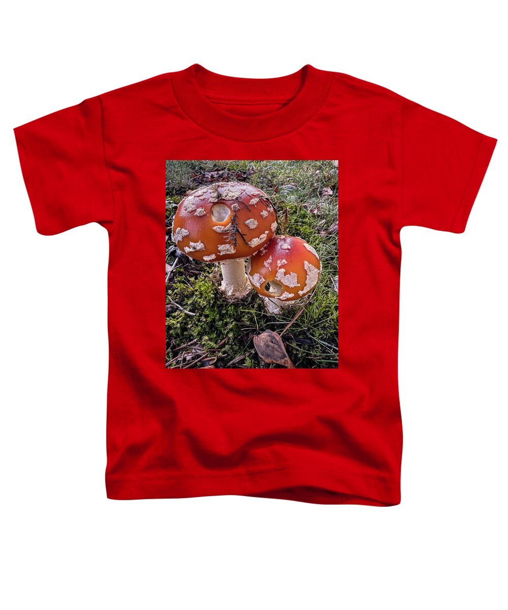 Mushrooms  - Toddler T-Shirt
