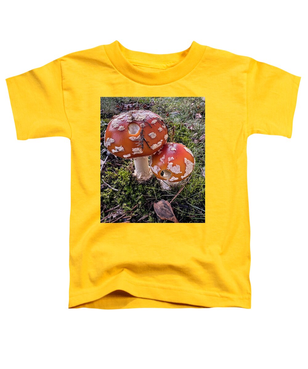 Mushrooms  - Toddler T-Shirt