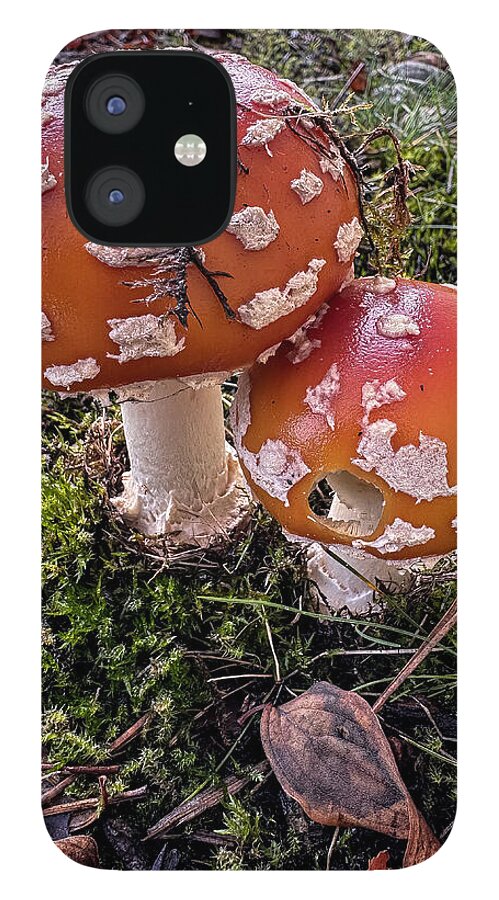 Mushrooms  - Phone Case