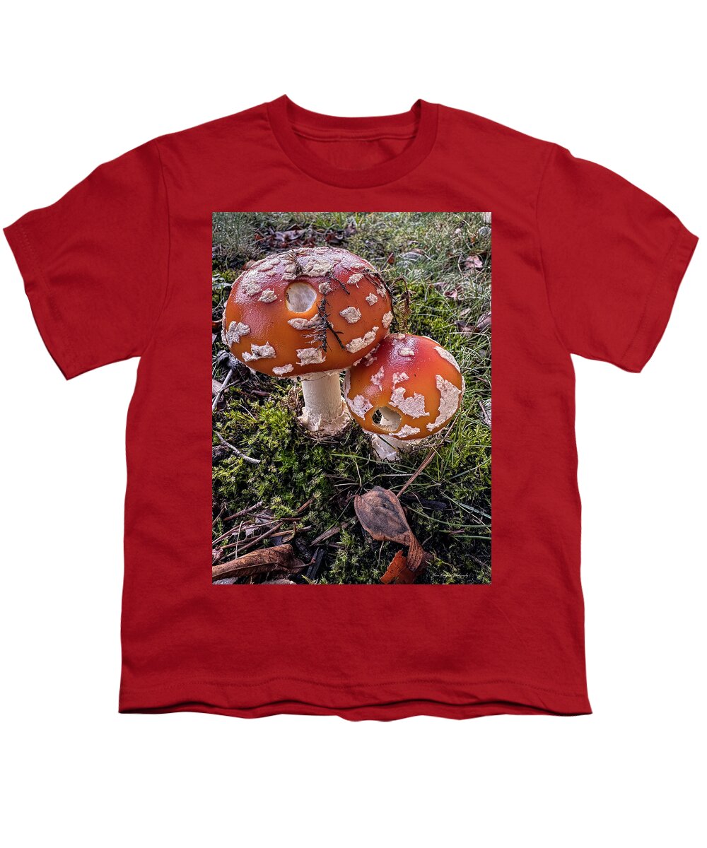 Mushrooms  - Youth T-Shirt
