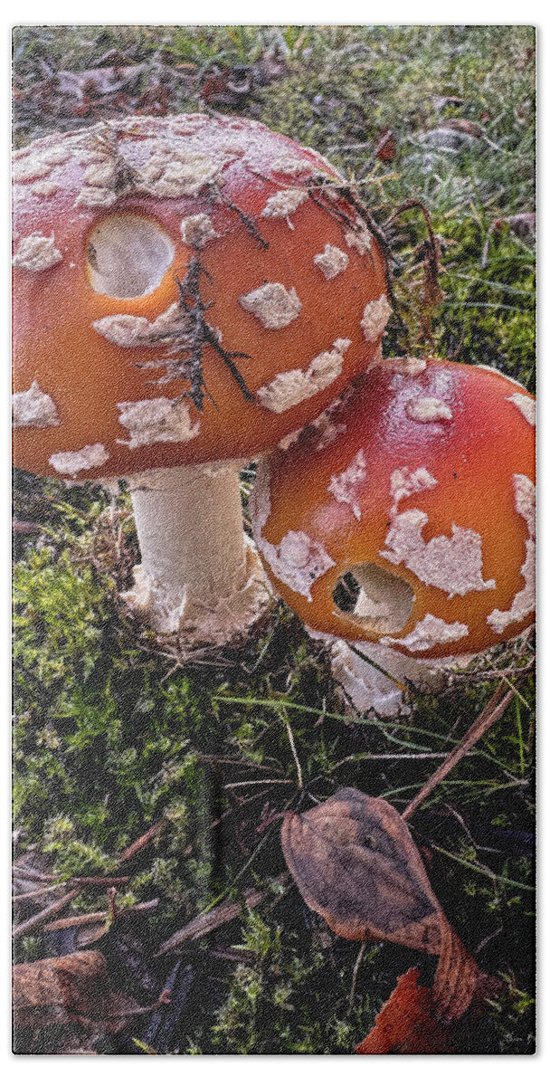Mushrooms  - Beach Towel