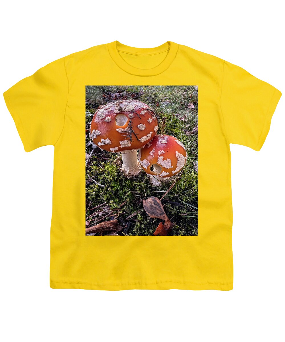 Mushrooms  - Youth T-Shirt