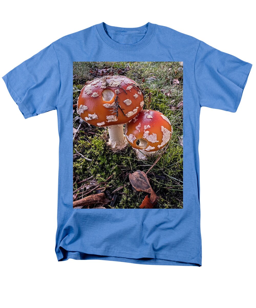 Mushrooms  - Men's T-Shirt  (Regular Fit)