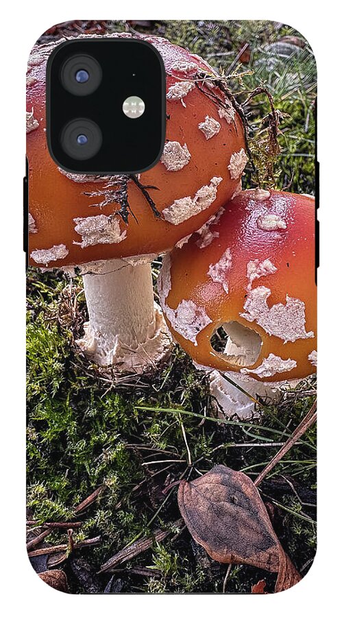 Mushrooms  - Phone Case