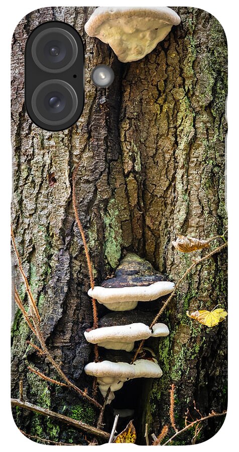 Mushrooms on the tree - Phone Case