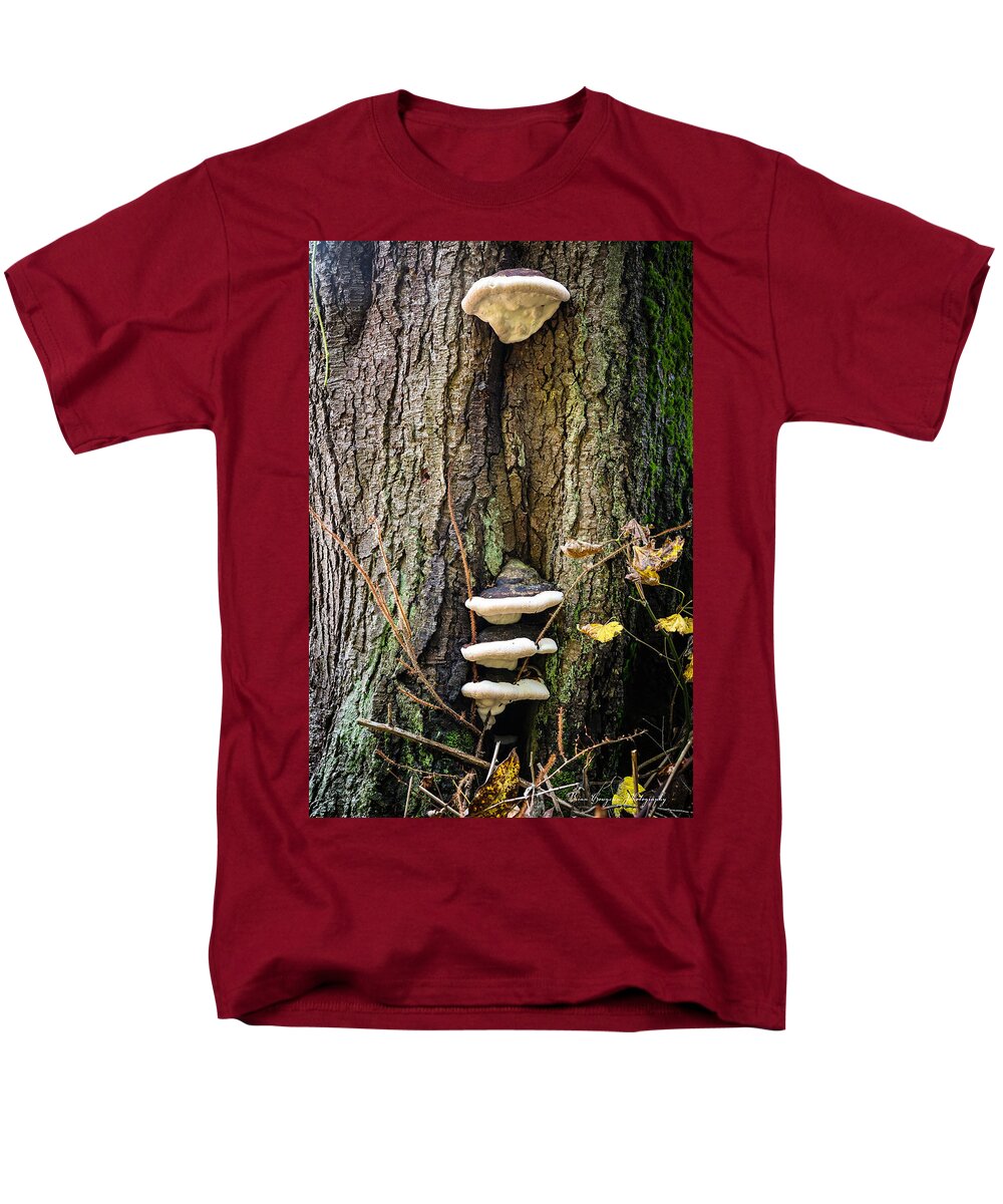 Mushrooms on the tree - Men's T-Shirt  (Regular Fit)