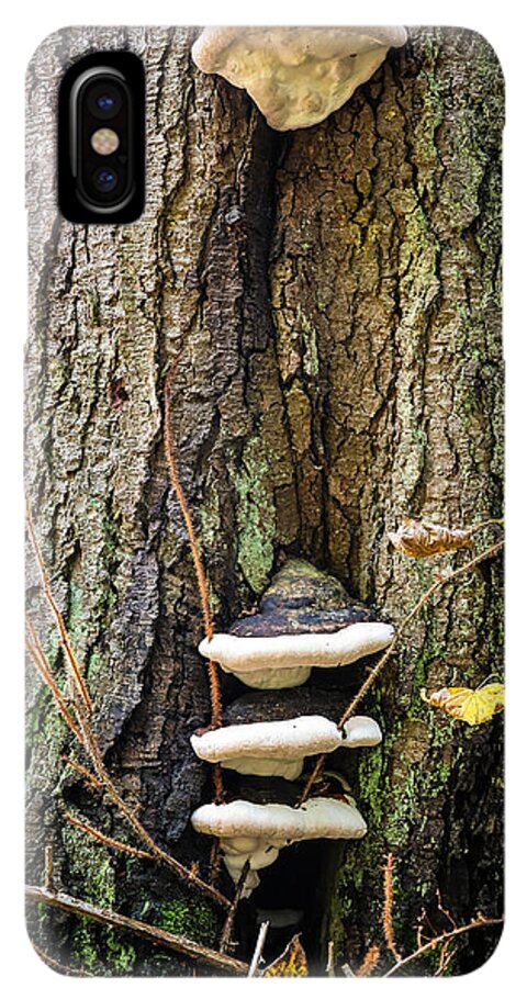 Mushrooms on the tree - Phone Case