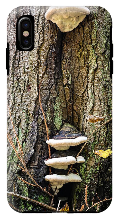 Mushrooms on the tree - Phone Case
