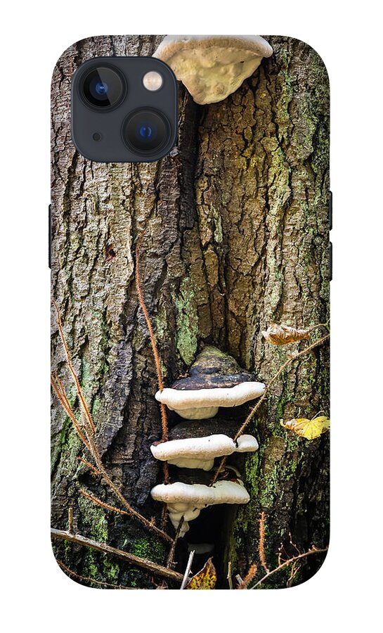 Mushrooms on the tree - Phone Case