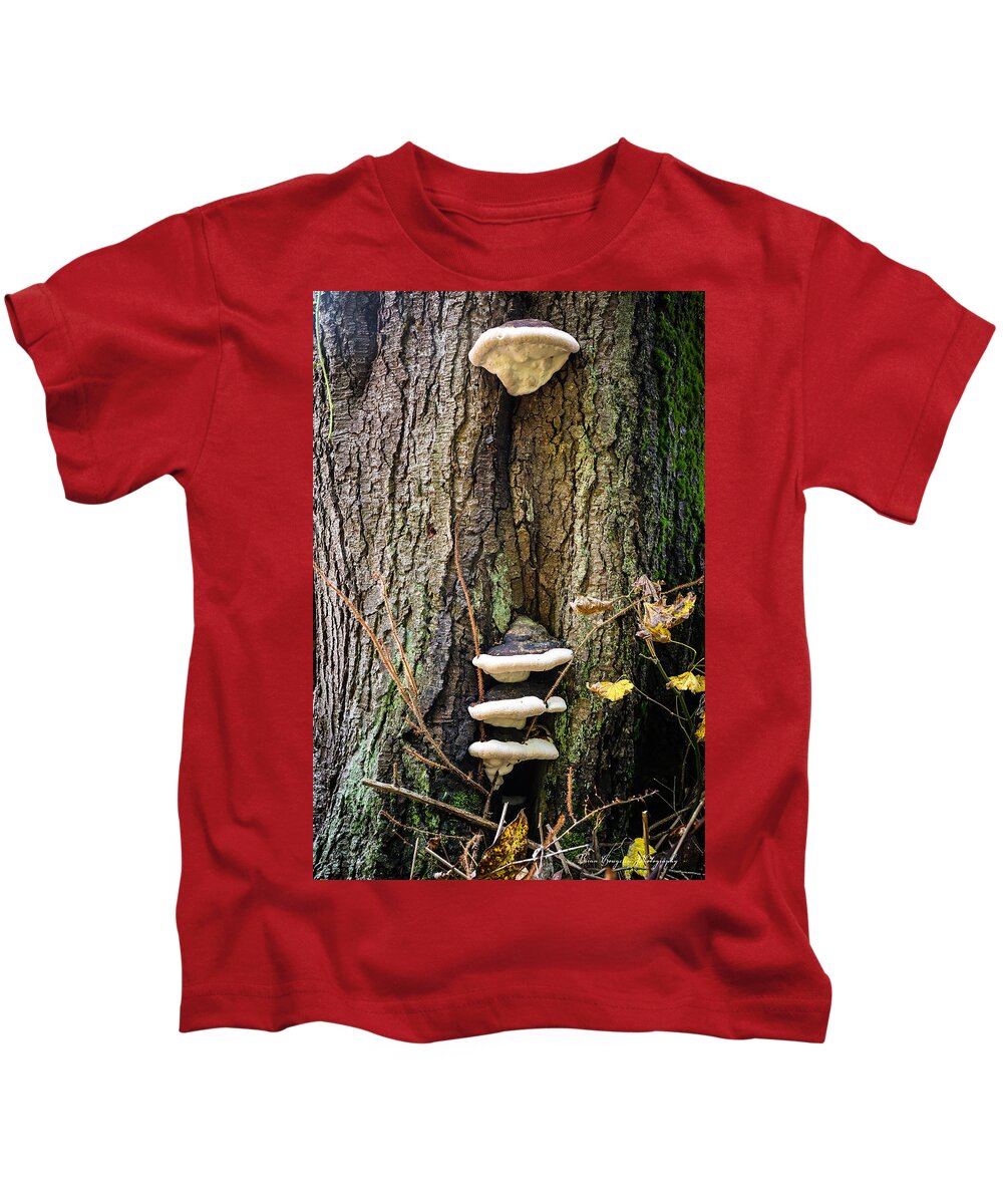 Mushrooms on the tree - Kids T-Shirt