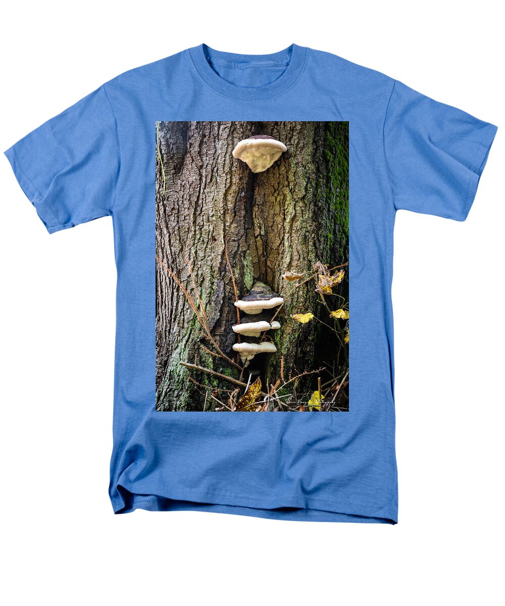 Mushrooms on the tree - Men's T-Shirt  (Regular Fit)