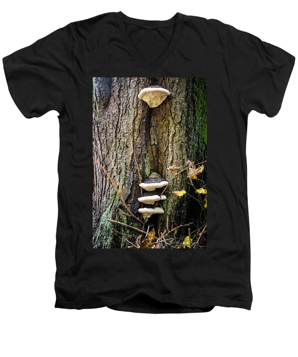 Mushrooms on the tree - Men's V-Neck T-Shirt