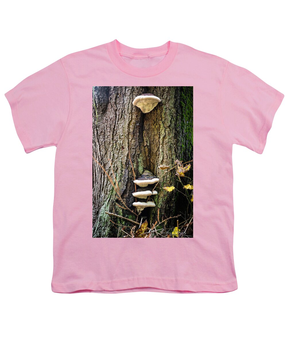 Mushrooms on the tree - Youth T-Shirt