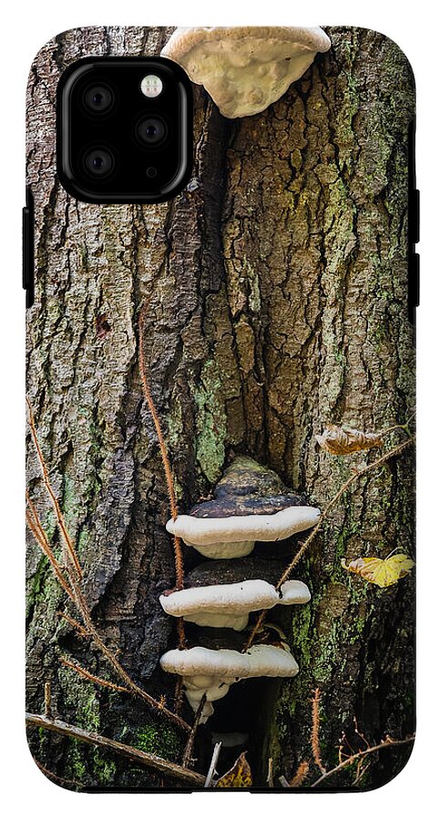 Mushrooms on the tree - Phone Case
