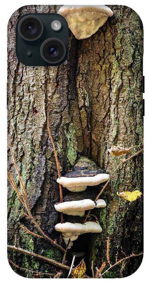 Mushrooms on the tree - Phone Case