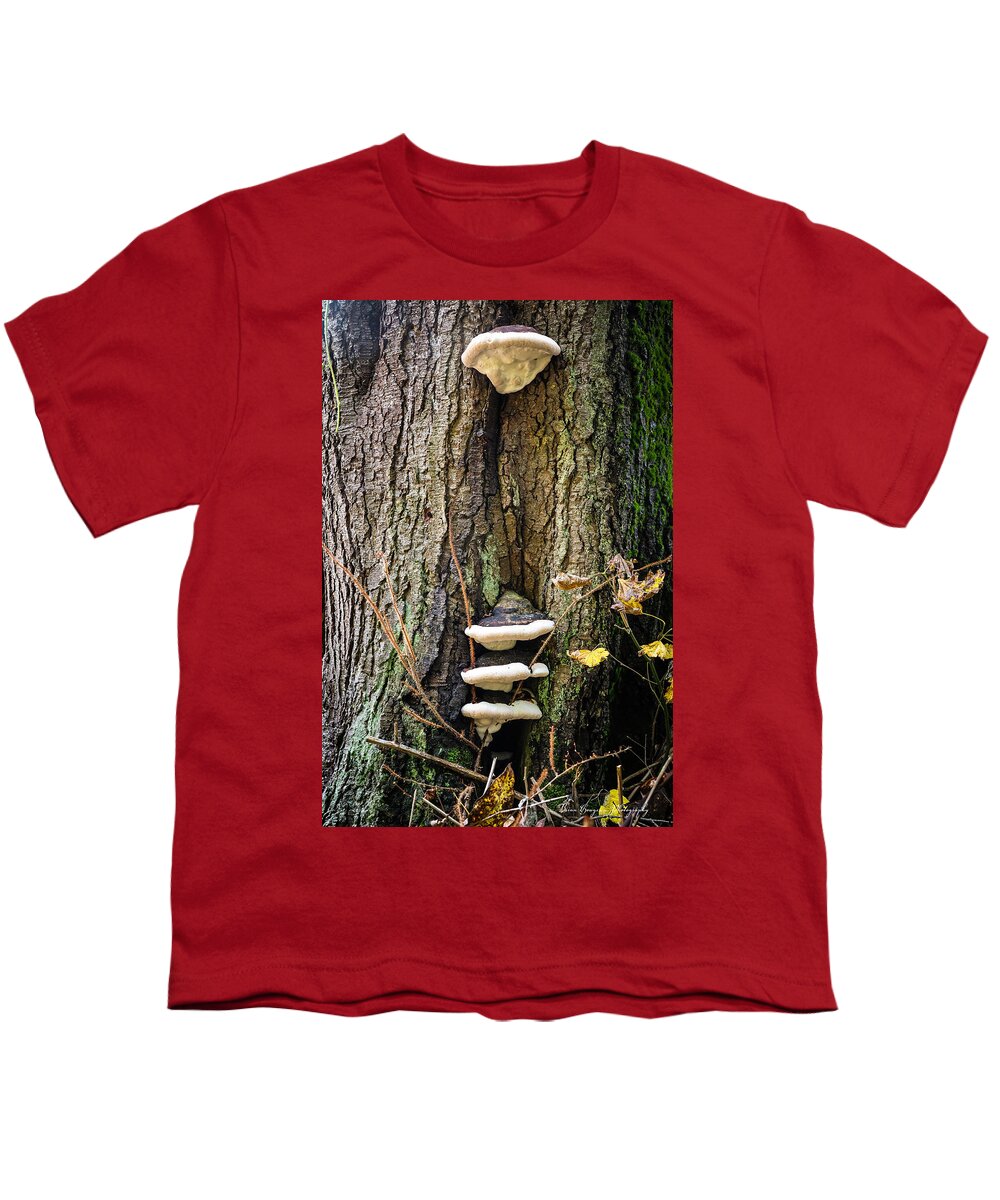 Mushrooms on the tree - Youth T-Shirt