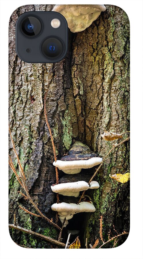 Mushrooms on the tree - Phone Case